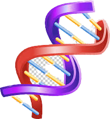 Cantidad de ADN