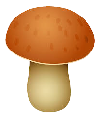 Quantité de Champignons