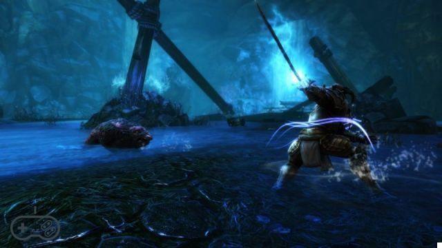 Kingdoms of Amalur: Re-Reckoning, the review of the Nintendo Switch version