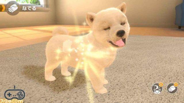 Little Friends: Dogs & Cats: probado el nuevo simulador de mascotas de Nintendo