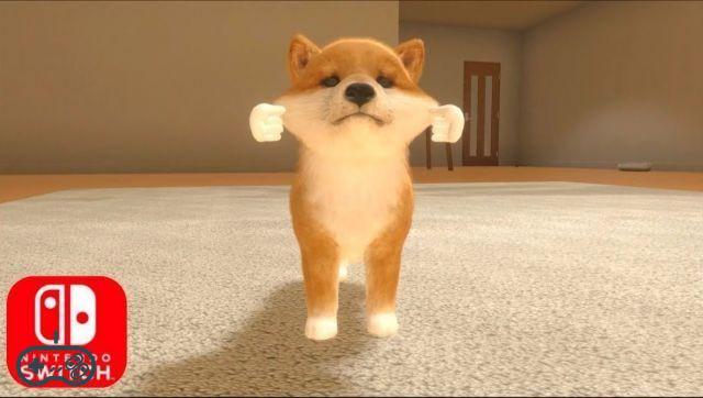 Little Friends: Dogs & Cats: probado el nuevo simulador de mascotas de Nintendo