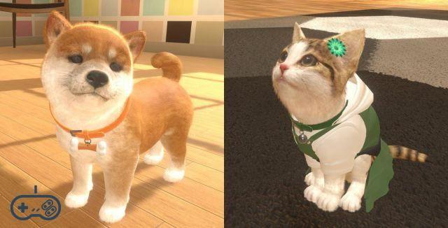 Amiguinhos: Cães e Gatos - Novo simulador de animais de estimação da Nintendo testado