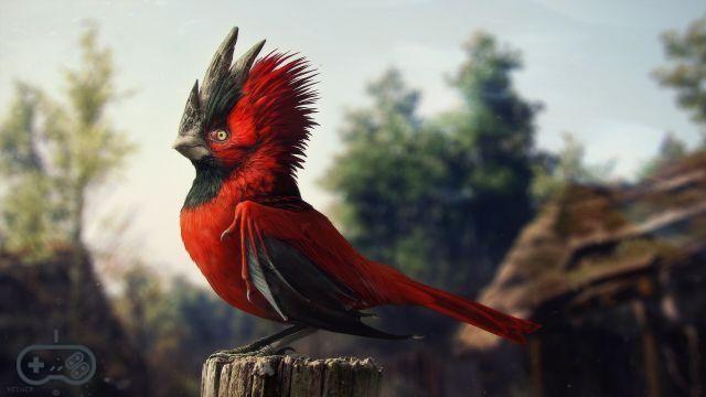 CD Projekt RED opens in Vancouver following the acquisition of Digital Scapes