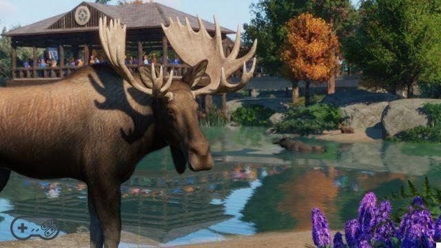 Planet Zoo: North America Animal Pack, the review of the new expansion