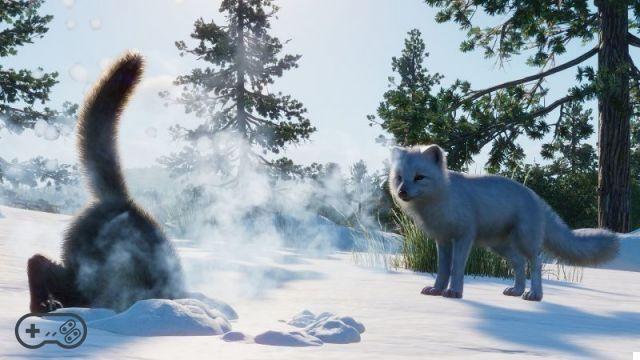 Planet Zoo: North America Animal Pack, the review of the new expansion