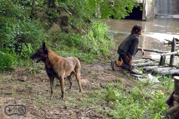The Walking Dead: will season 10 reveal the past of Daryl's dog?