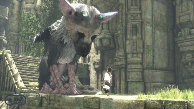 The Last Guardian: the creator working on a new project?