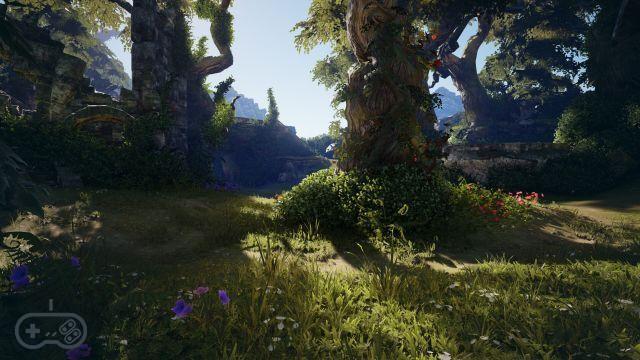 Will Fable be an MMO? Despite the rumors, some insiders deny it