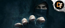 Curiosities and Secrets of Thief