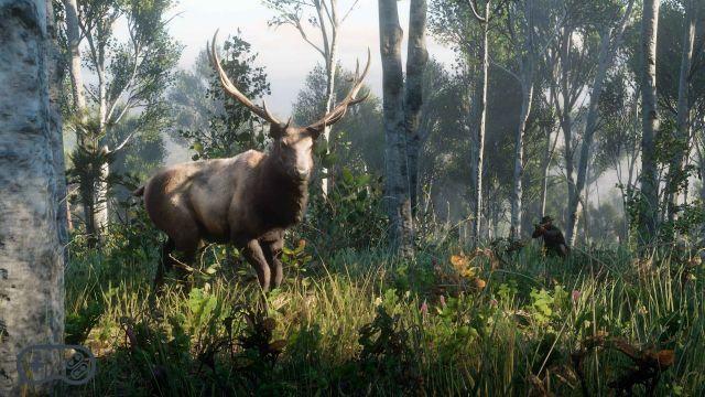 Red Dead Redemption 2 - Guide des animaux légendaires