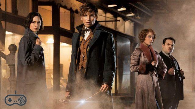 Fantastic Beasts 3: le tournage s'est temporairement arrêté