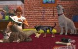 Os Sims: Histórias de Animais de Estimação - Revisão
