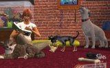 Les Sims : Histoires d'animaux - Revue