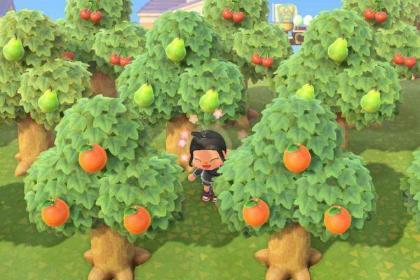 👨‍💻Animal Crossing: New Horizons | Como ganhar dinheiro RÁPIDO